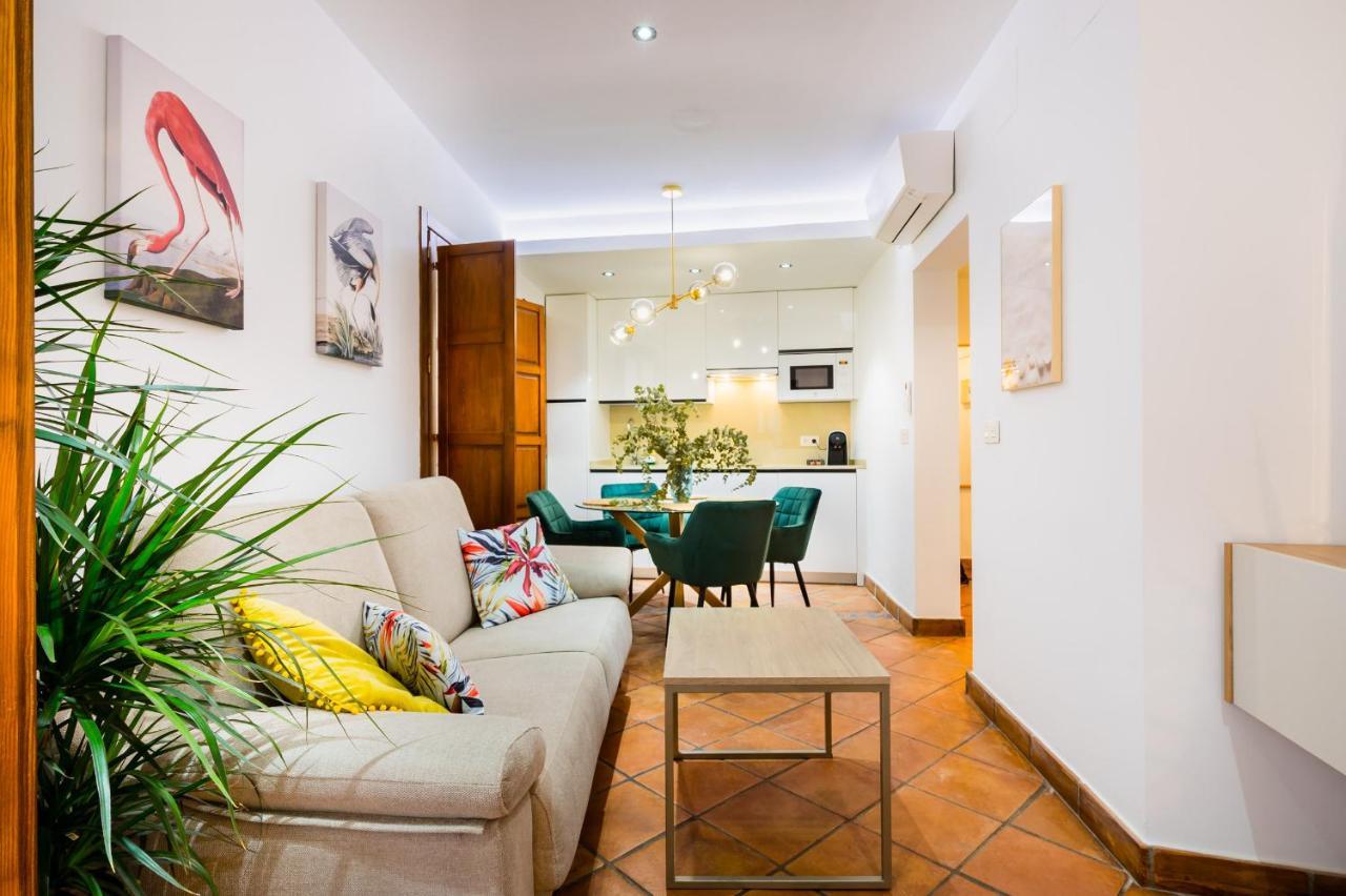 Duplex Deluxe Sevilla Center & Parking Opcional 외부 사진