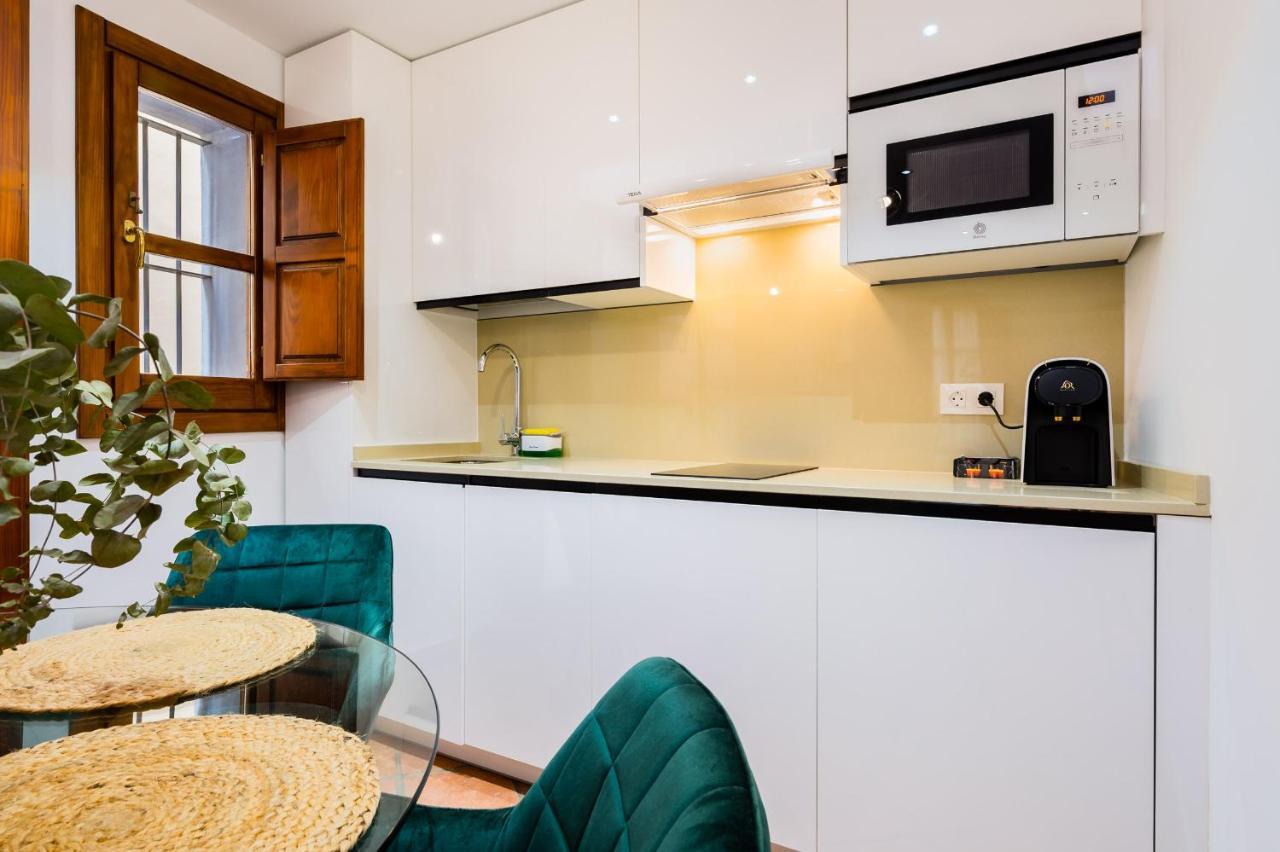 Duplex Deluxe Sevilla Center & Parking Opcional 외부 사진